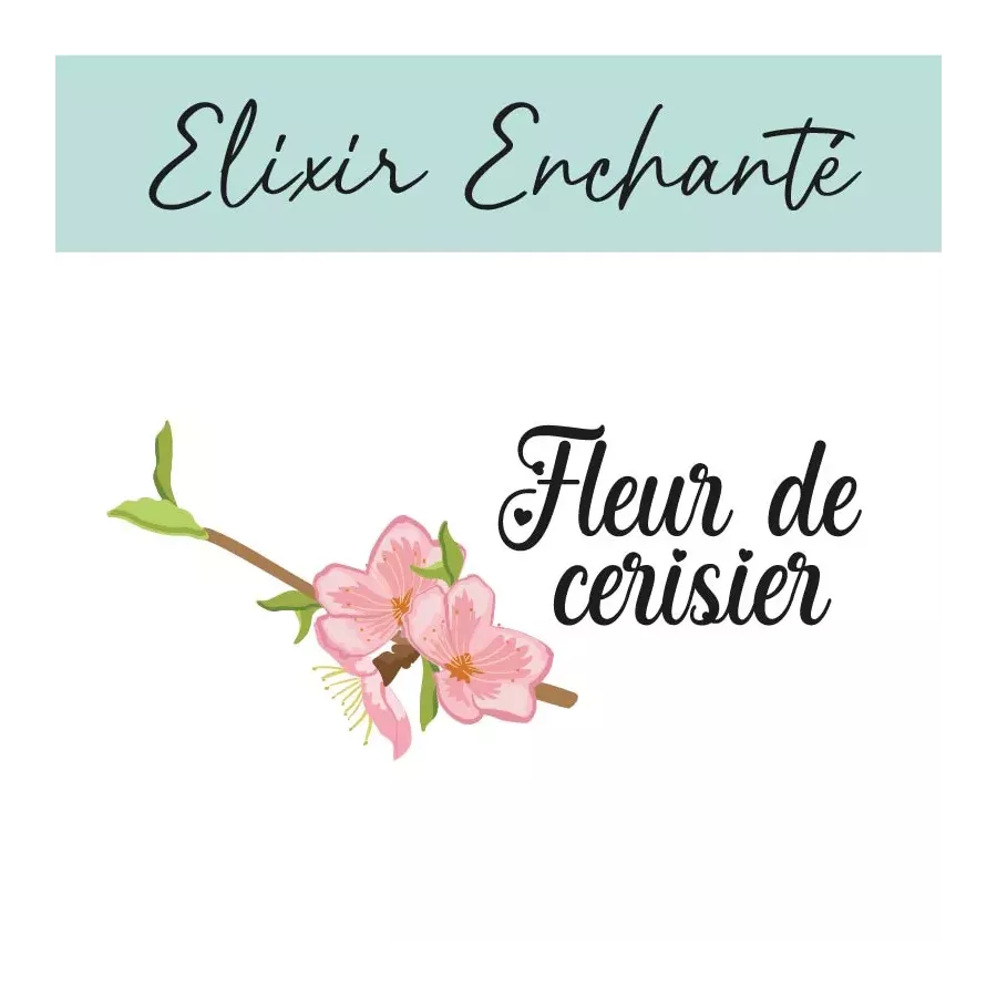 Elixir enchanté : Fleur de Cerisier